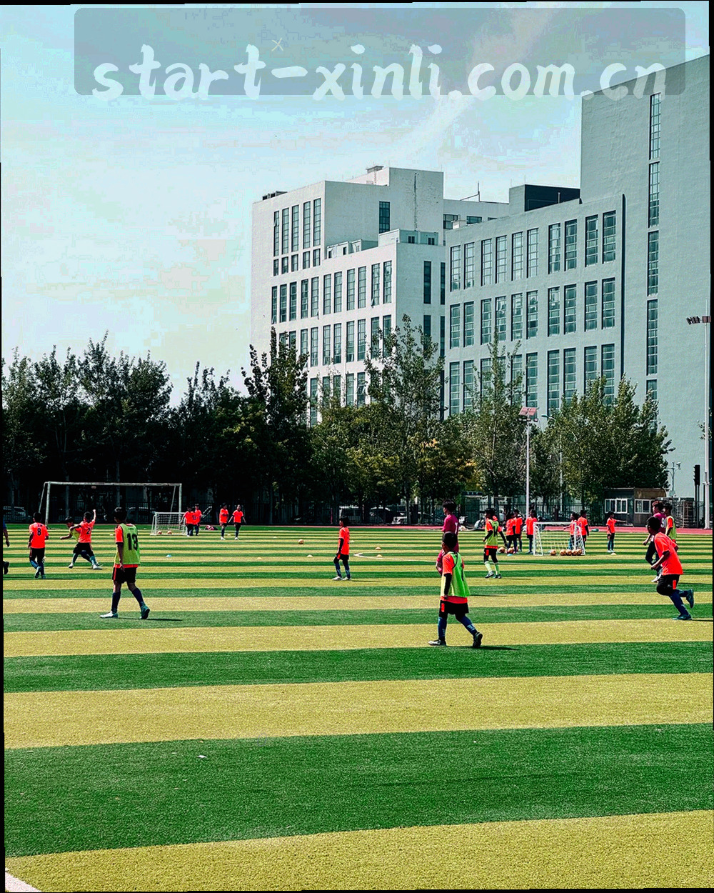 傍晚侧光下的体育场馆外景，对角线构图呈现建筑结构的层次与光影